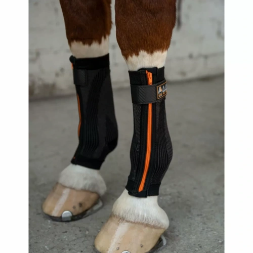 bandaze_uciskowe_1491602205