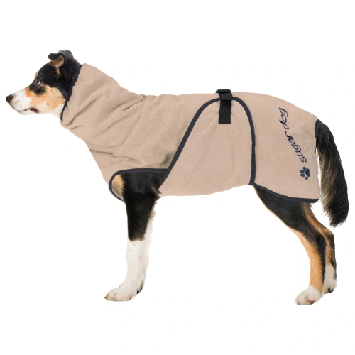 dry_dog_ii