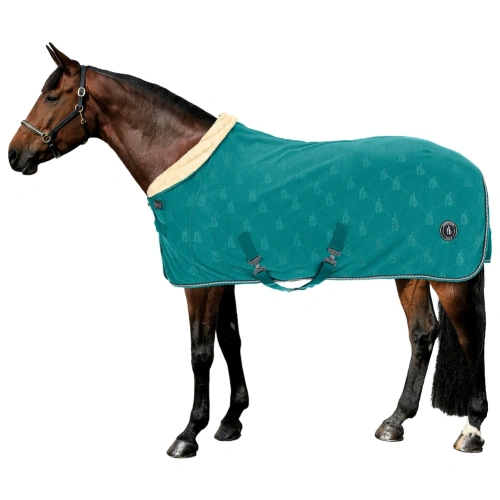 equestrian_sports