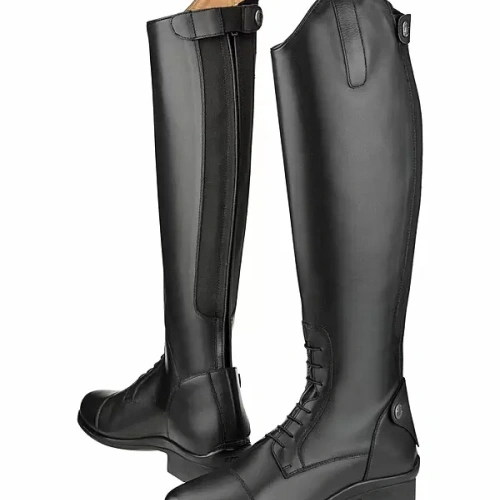 favourite_iii_1463043973