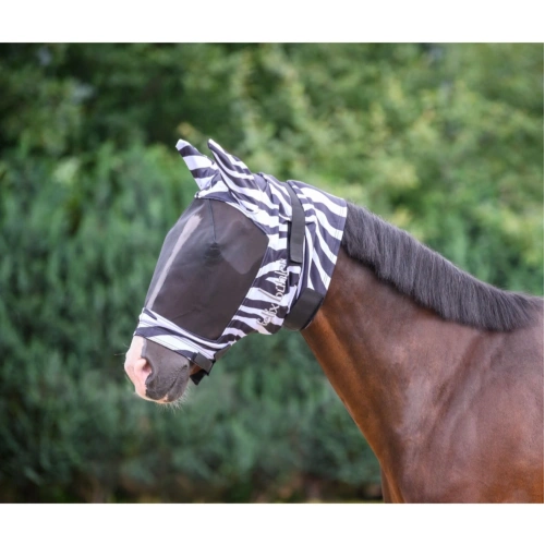 gibson_ii_zebra_2011615100