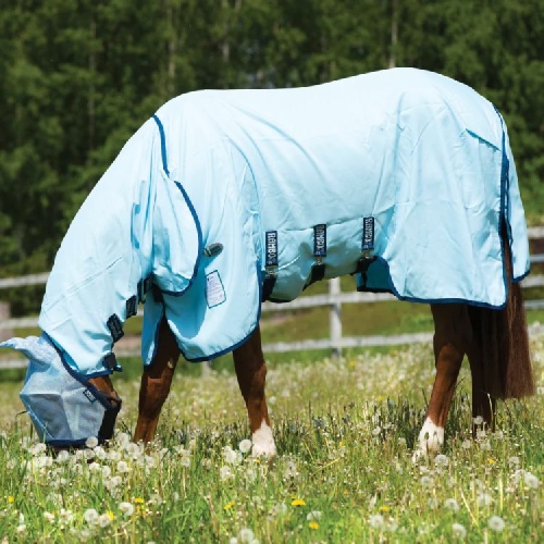 horseware_miniature_rambo_hoody_vamoose