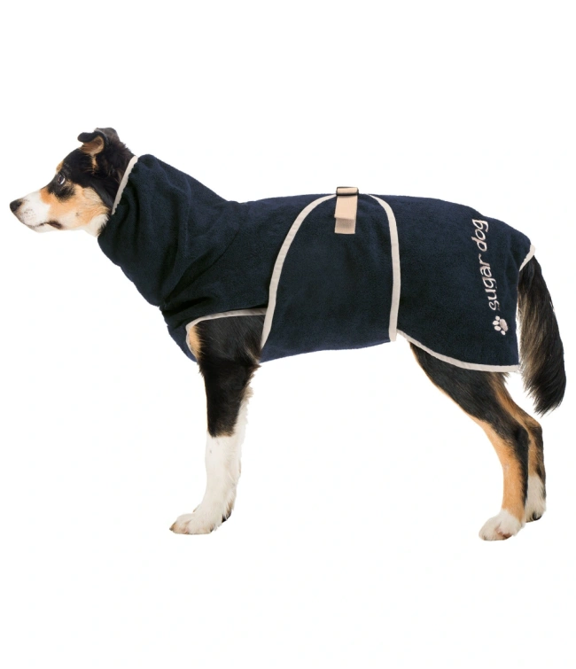 dry_dog_ii1