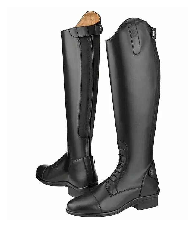 favourite_iii_1881044362