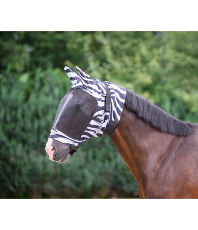 gibson_ii_zebra_2011615100