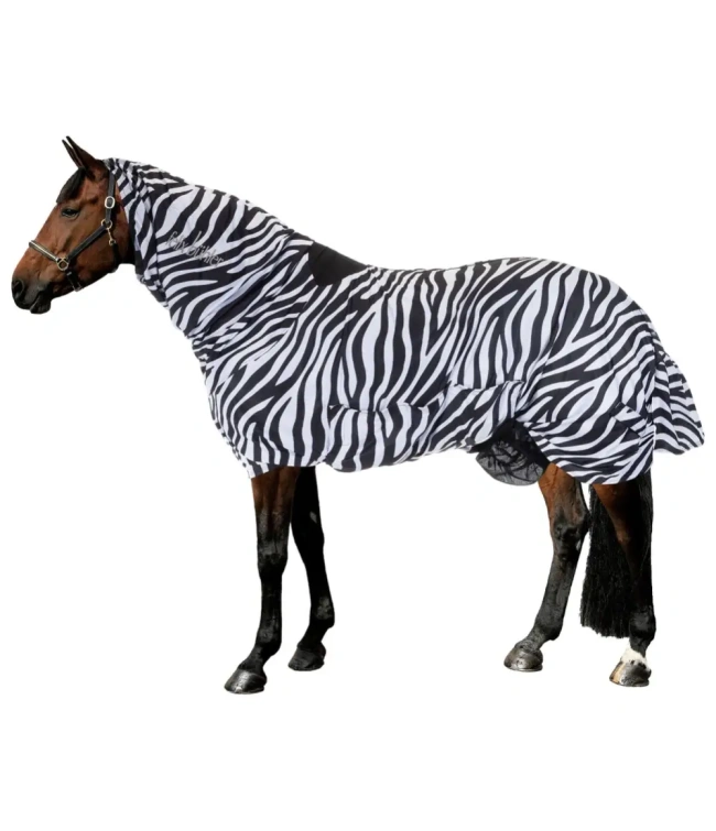 gibson_ii_zebra_brak_zamka_w_kapturze_egzema_1686527146